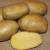 Картофель ЭЛИТА Гулливер уп. 2кг. ранний, жёлтый, 