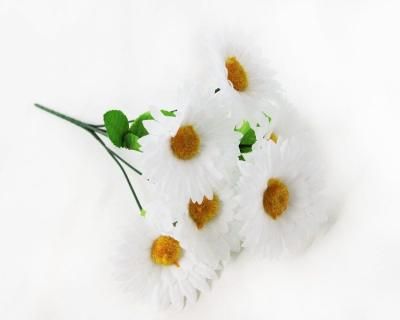 Искусственные цветы букет Ромашек Пиноколада 5г. Н-35 см Б1287/50