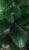 1033_1754 1033_1754