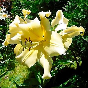 65522