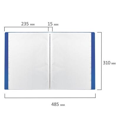 Папка 20 вкладышей BRAUBERG Бюджет синяя 0,5мм 